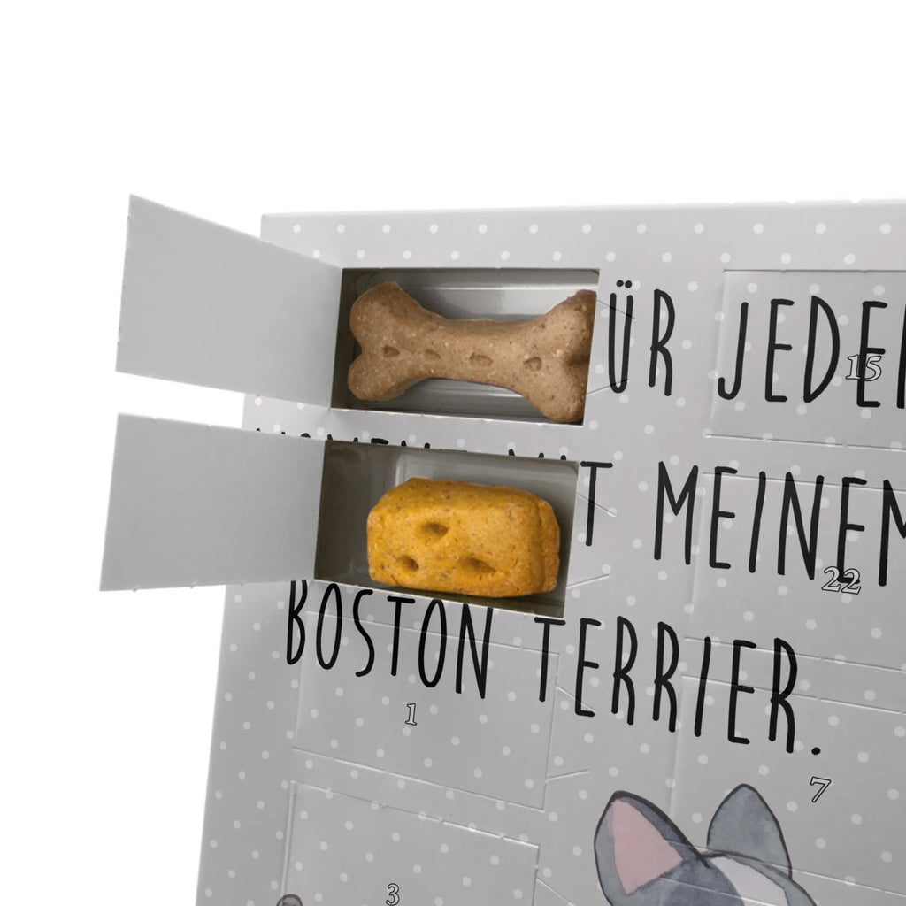 Personalisierter Hunde Foto Adventskalender Boston Terrier Moment Personalisierter Hunde Foto Adventskalender, Geschenk, Schenken, Hund, Hunderasse, Rassehund, Hundebesitzer, Tierfreund, Welpe, Boston Terrier