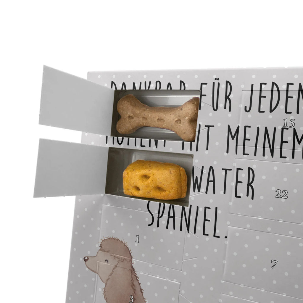 Personalisierter Hunde Foto Adventskalender Irish Water Spaniel Moment Personalisierter Hunde Foto Adventskalender, Geschenk, Schenken, Hund, Hunderasse, Rassehund, Hundebesitzer, Tierfreund, Welpe, Irish Water Spaniel, Jagdhund