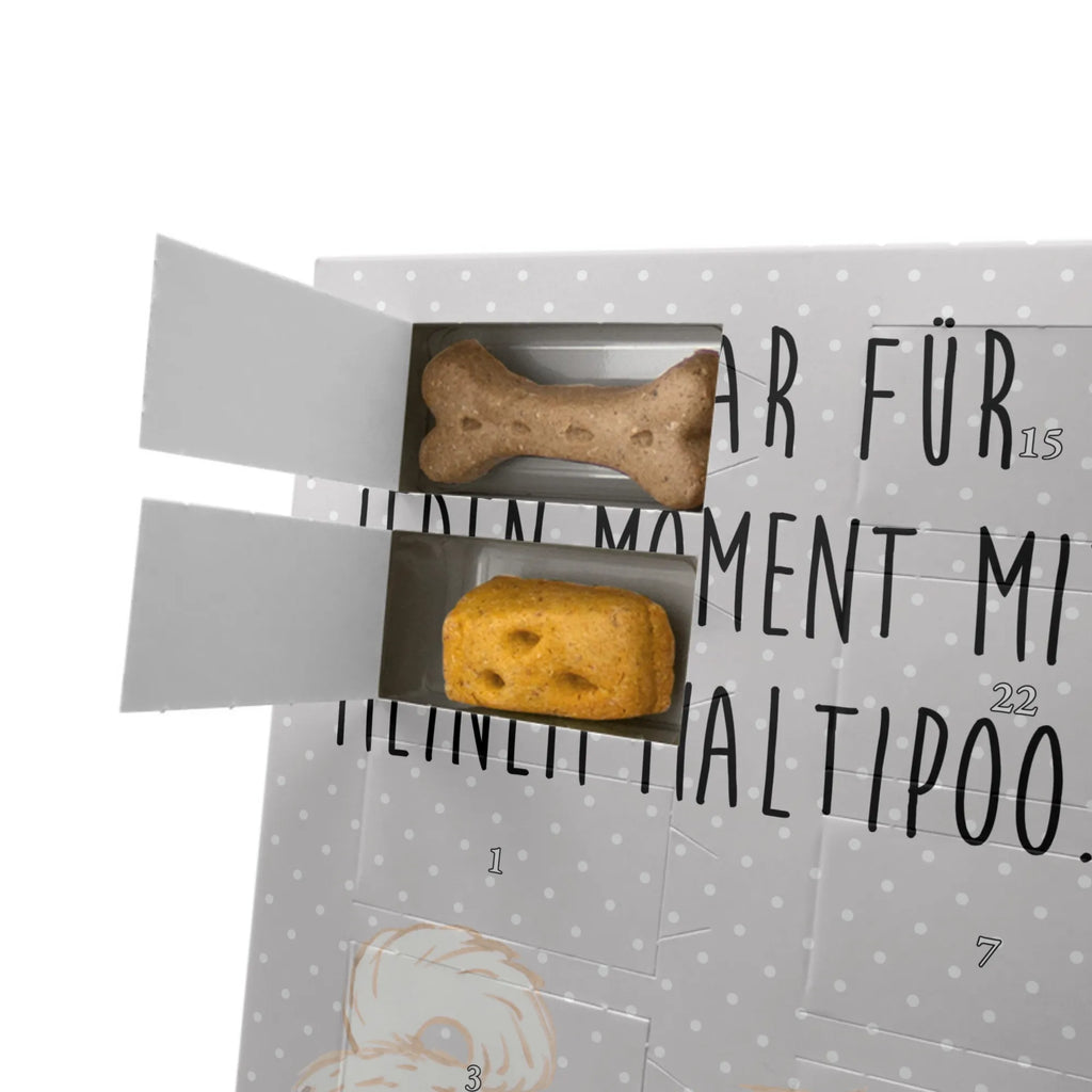 Personalisierter Hunde Foto Adventskalender Maltipoo Moment Personalisierter Hunde Foto Adventskalender, Geschenk, Schenken, Hund, Hunderasse, Rassehund, Hundebesitzer, Tierfreund, Welpe, Kreuzung, Mischling, Maltipoo