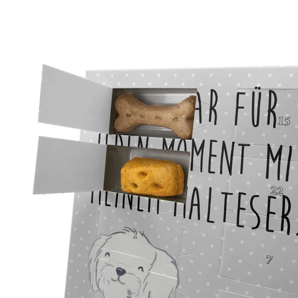 Personalisierter Hunde Foto Adventskalender Malteser Moment Personalisierter Hunde Foto Adventskalender, Geschenk, Schenken, Hund, Hunderasse, Rassehund, Hundebesitzer, Tierfreund, Welpe, Malteser