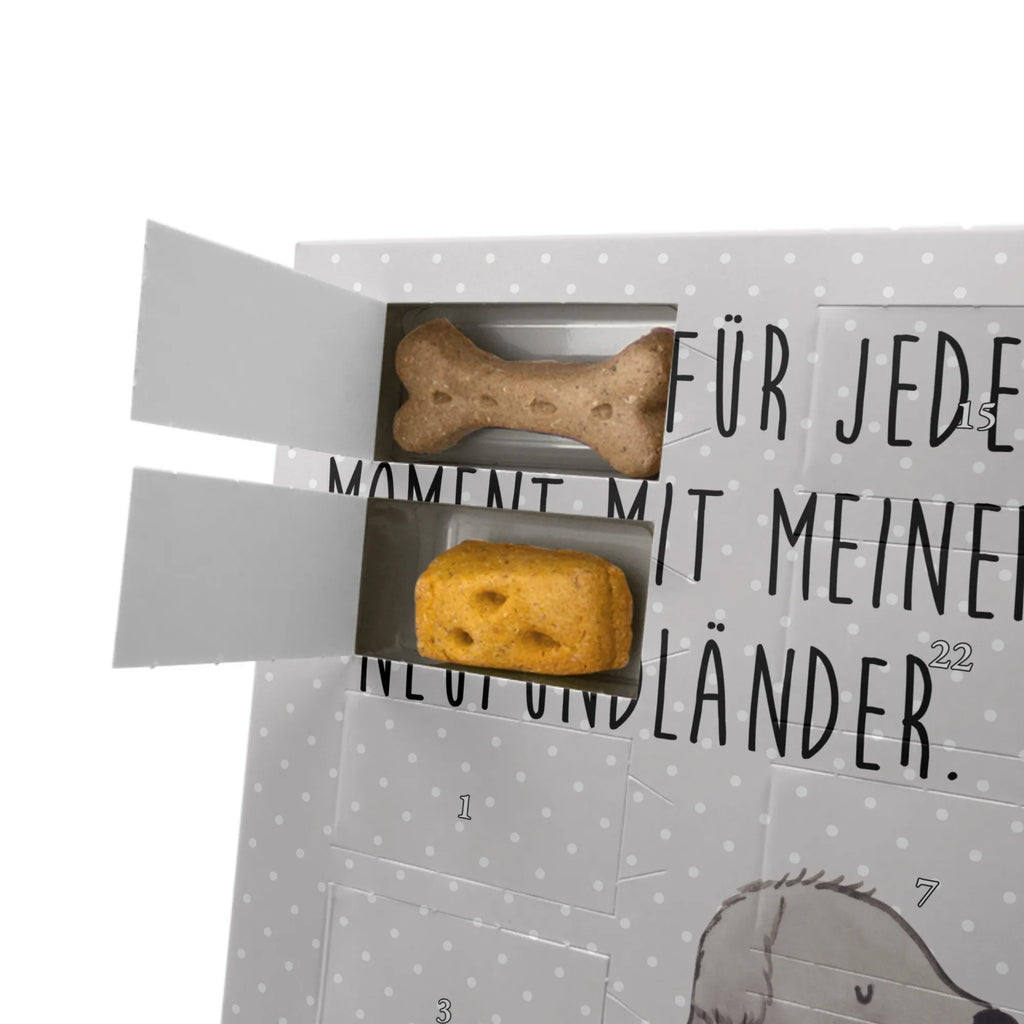 Personalisierter Hunde Foto Adventskalender Neufundländer Moment Personalisierter Hunde Foto Adventskalender, Geschenk, Schenken, Hund, Hunderasse, Rassehund, Hundebesitzer, Tierfreund, Welpe, Neufundländer, Newfoundland