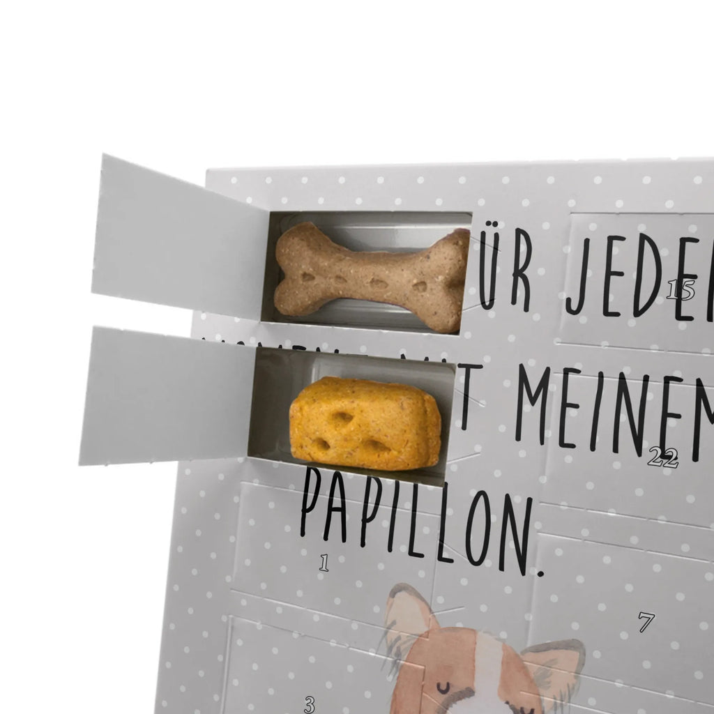 Personalisierter Hunde Foto Adventskalender Papillon Moment Personalisierter Hunde Foto Adventskalender, Geschenk, Schenken, Hund, Hunderasse, Rassehund, Hundebesitzer, Tierfreund, Welpe, Papillon, Kontinentaler Zwergspaniel