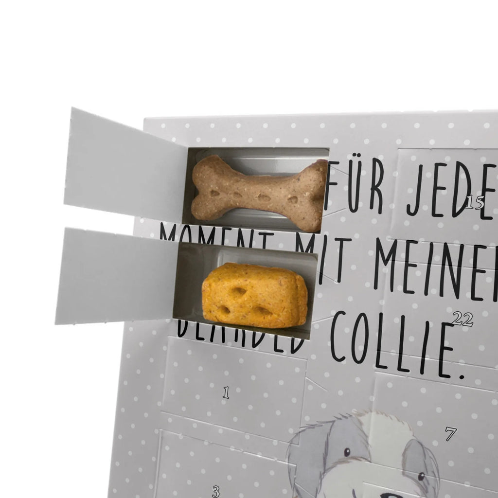 Personalisierter Hunde Foto Adventskalender Bearded Collie Moment Personalisierter Hunde Foto Adventskalender, Geschenk, Schenken, Hund, Hunderasse, Rassehund, Hundebesitzer, Tierfreund, Welpe, Bearded Collie, Britischer Hütehund