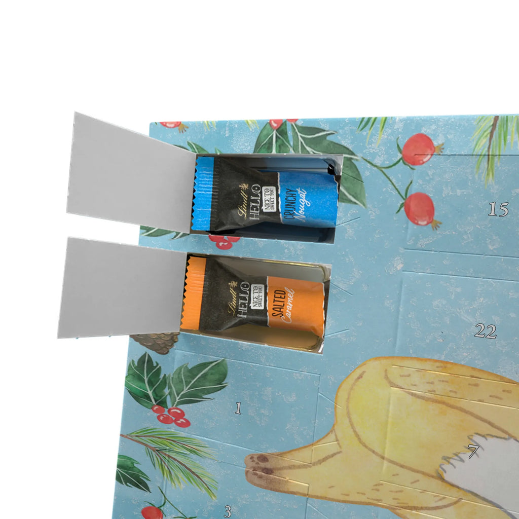 Adventskalender Fuchs Lesen süßigkeiten kalender, adventskalender mit pralinen, pralinen adventskalender, advent kalender, Schoko Adventskalender, schokoladen kalender, schokolade adventskalender, süßigkeiten adventskalender, Adventskalender Schokolade, kalender schokolade, adventskalender mit schokolade, weihnachtskalender schoko, adventskalender mit süßigkeiten, schokoladenkalender, schoko kalender, adventskalender süßigkeiten, Weihnachtskalender, Schokoladen Adventskalender, schokokalender, Weihnachtskalender Schokolade, schoko weihnachtskalender, adventskalender pralinen, Adventskalender, Schenken, Sport, Sportart, Hobby, Danke, Dankeschön, Auszeichnung, Gewinn, Sportler, Geschenk, Bücherwurm, Bücher lesen, lesen