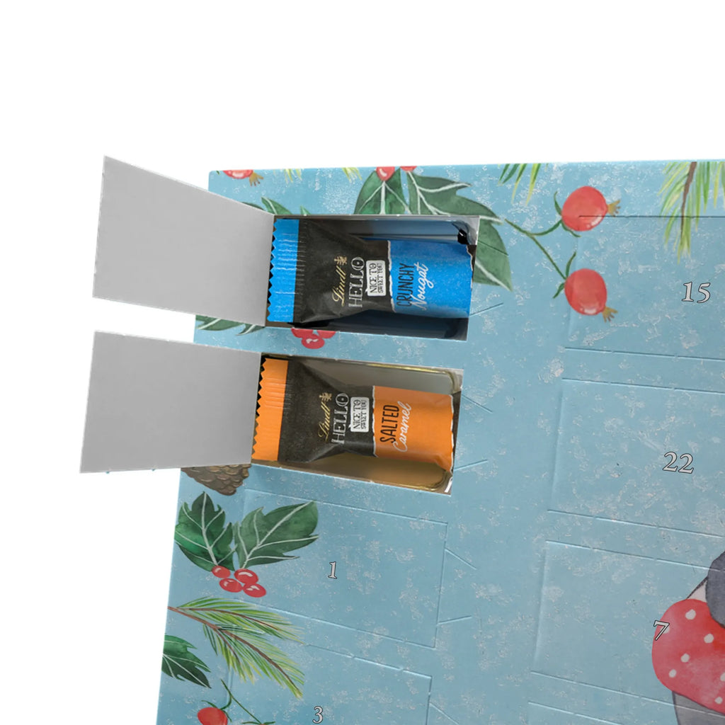 Chocolate advent calendar otter To swim giving, Gift, thank you, award, profit, athlete, water sports, swimming lessons, Swimming