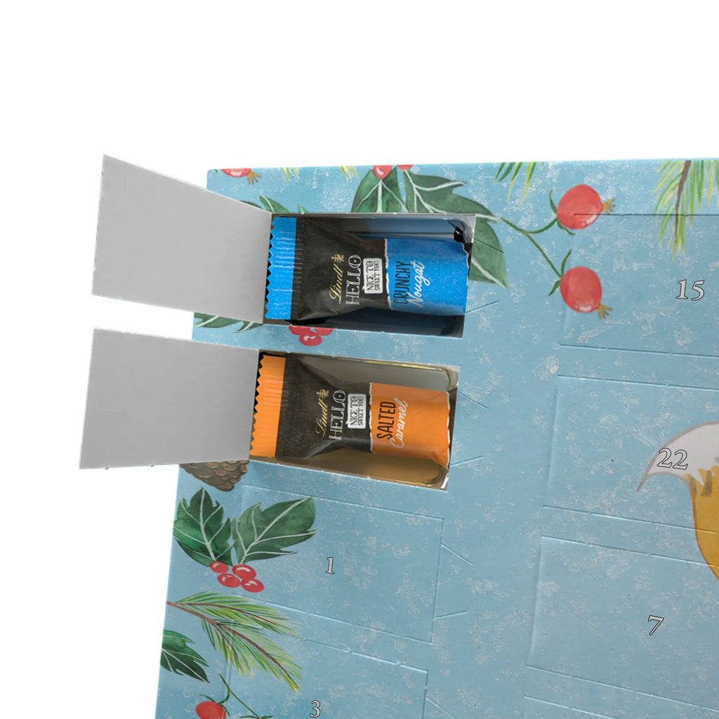 Chocolate advent calendar Fox figure skater giving, Gift, thank you, award, profit, athlete, ice art, Figure skater