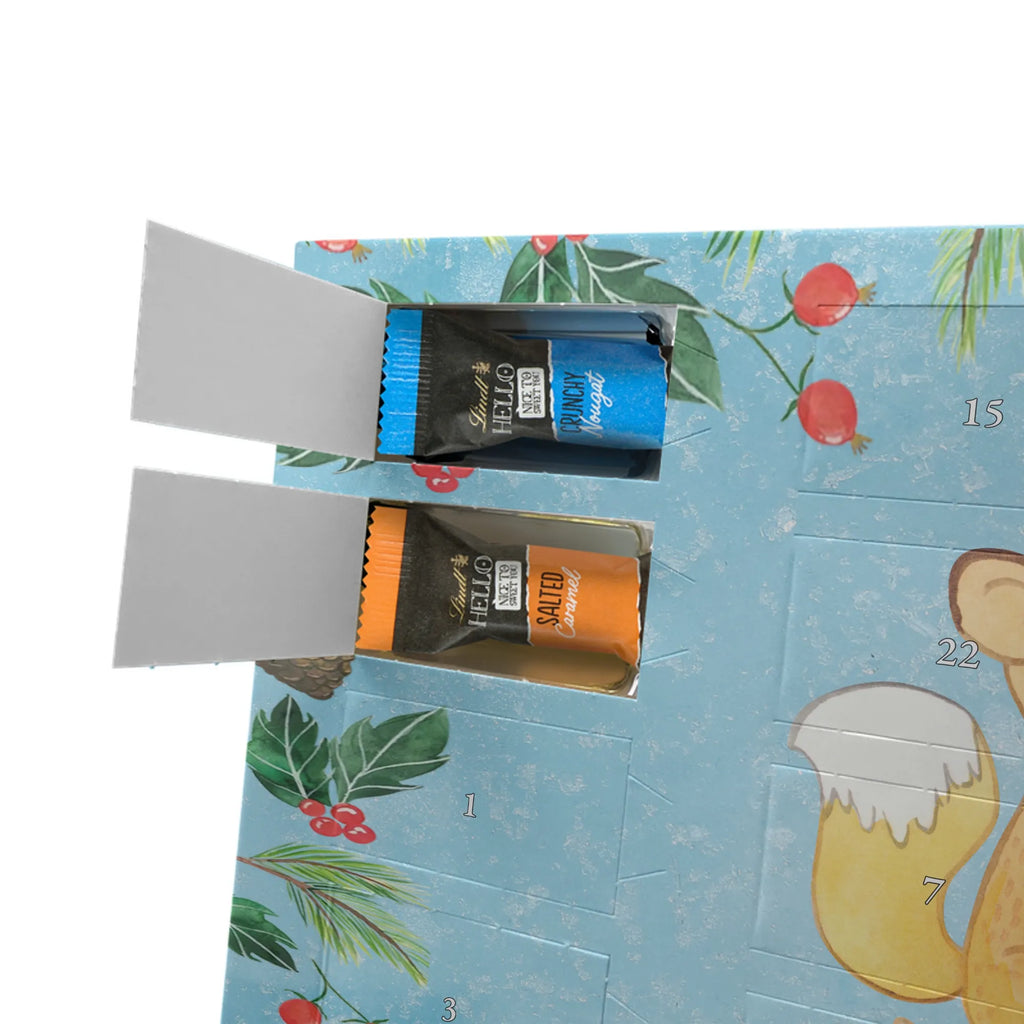 Chocolate advent calendar Fox watch movies giving, Gift, thank you, award, profit, athlete, Movie night, watching movies, cinema, television