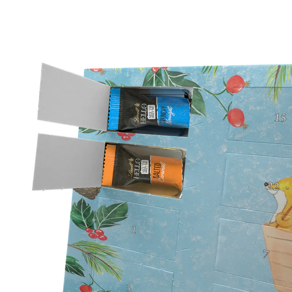 Chocolate advent calendar Fox Canoeing giving, Gift, thank you, award, profit, athlete, Canoeing, canoe tour, canoe school, paddling tour, canoe rental