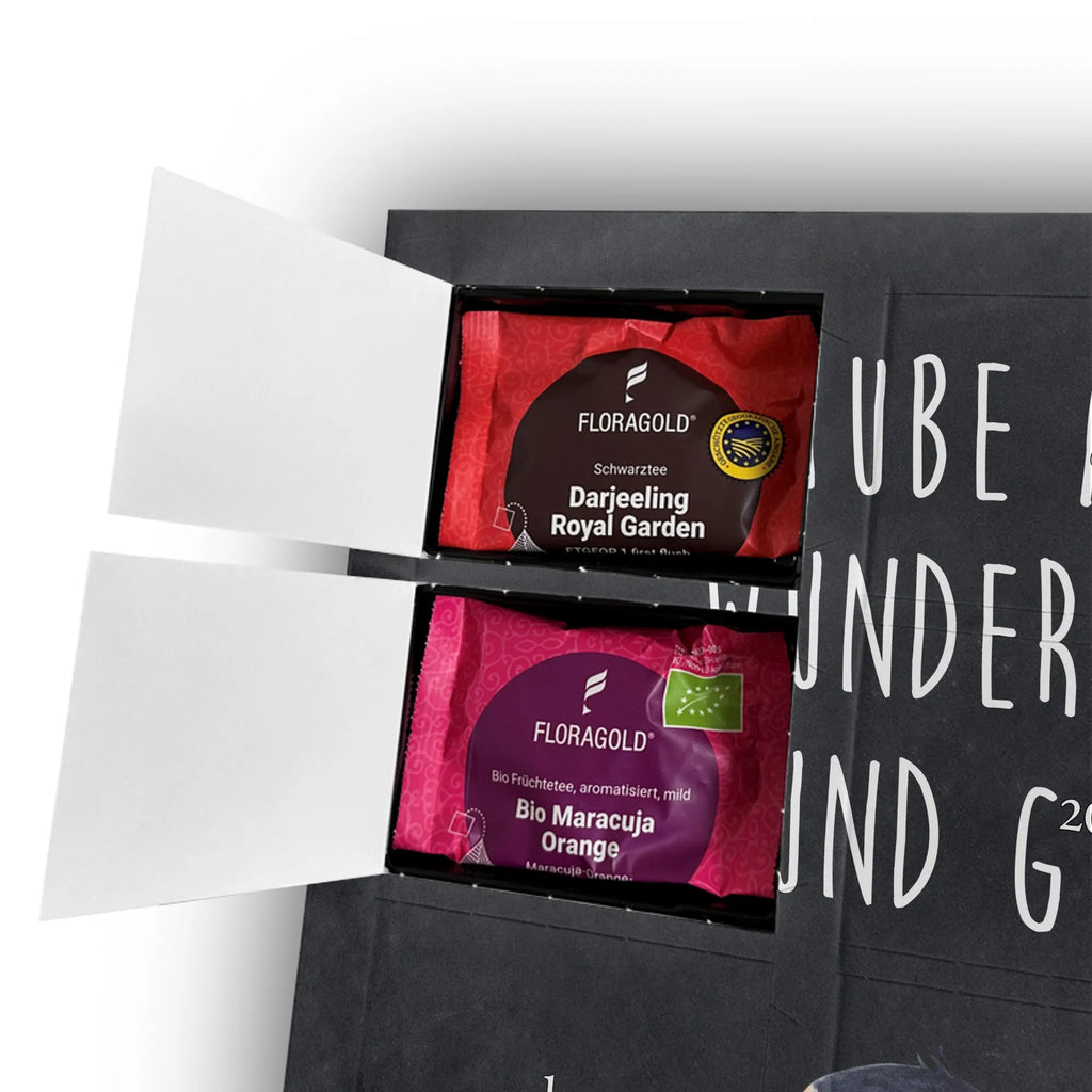  Penguin ladybug Penguin, North Pole, Winter, Penguins, love, wonder, ladybird, joy, happiness, joy of life, penguins