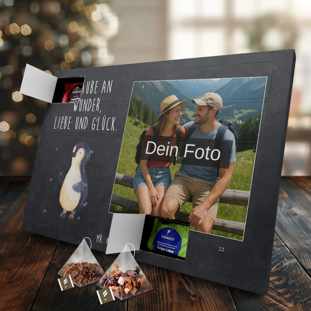  Penguin ladybug Penguin, North Pole, Winter, Penguins, love, wonder, ladybird, joy, happiness, joy of life, penguins