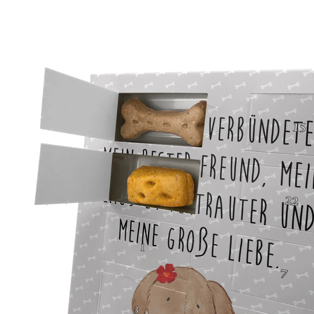 Personalisierter Hunde Foto Adventskalender Hund Dame Personalisierter Hunde Foto Adventskalender, Sprüche, Hund, Hunderasse, Hundebesitzer, Hundemotiv, Haustier, Tierliebhaber, Hundeliebe, Liebe, Hundeglück, Frauchen, Hunde