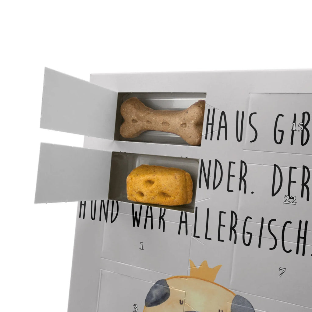 Personalisierter Hunde Foto Adventskalender Mops Krone Personalisierter Hunde Foto Adventskalender, Sprüche, Hund, Hunderasse, Hundebesitzer, Hundemotiv, Haustier, Tierliebhaber, Kinderlos, Hausregel, Hundebesitzer. Spruch, Lustig, Allergisch, Mops