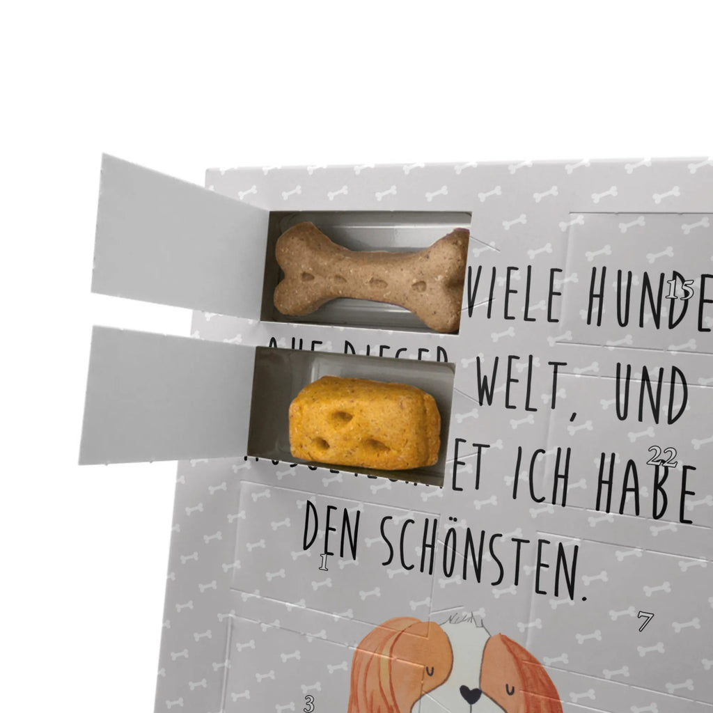 Personalisierter Hunde Foto Adventskalender Hund Cavalier King Charles Spaniel Personalisierter Hunde Foto Adventskalender, Sprüche, Hund, Hunderasse, Hundebesitzer, Hundemotiv, Haustier, Tierliebhaber, Spaniel, Schönster Hund, Spruch, Cavalier King Charles Spaniel, Cockerspaniel