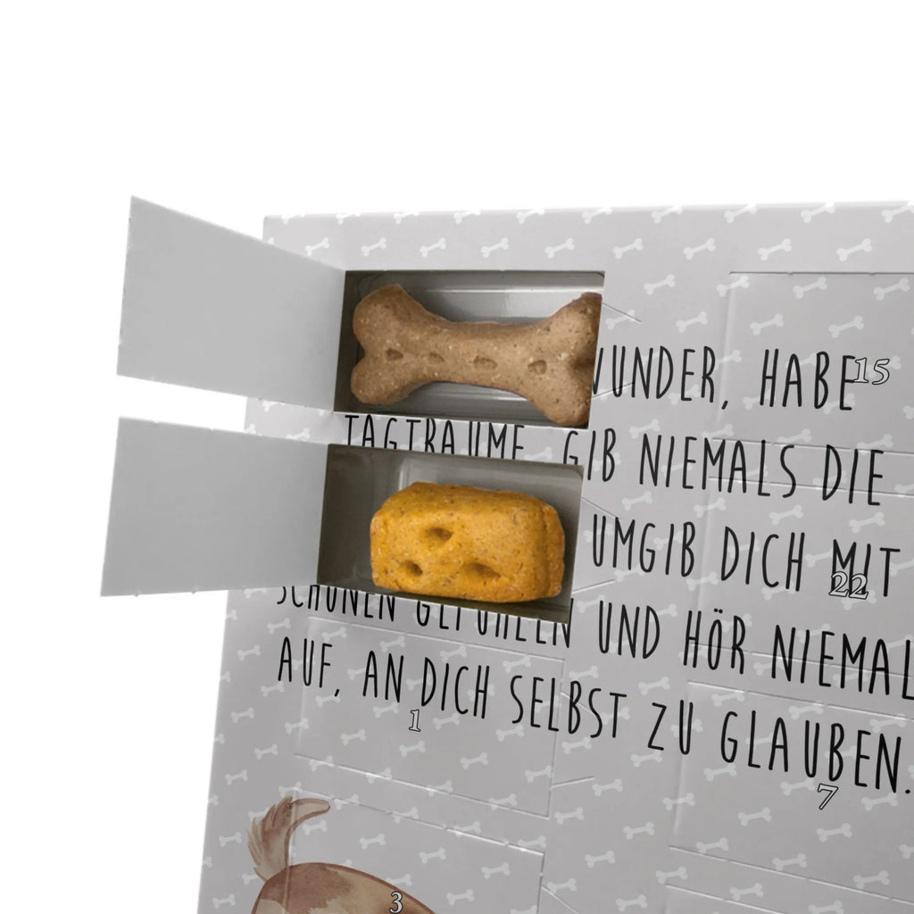 Personalisierter Hunde Foto Adventskalender Hund Marienkäfer Personalisierter Hunde Foto Adventskalender, Sprüche, Hund, Hunderasse, Hundebesitzer, Hundemotiv, Haustier, Tierliebhaber, Mischlinghund, Marienkäfer, Hunde, Hundespruch, Mischling