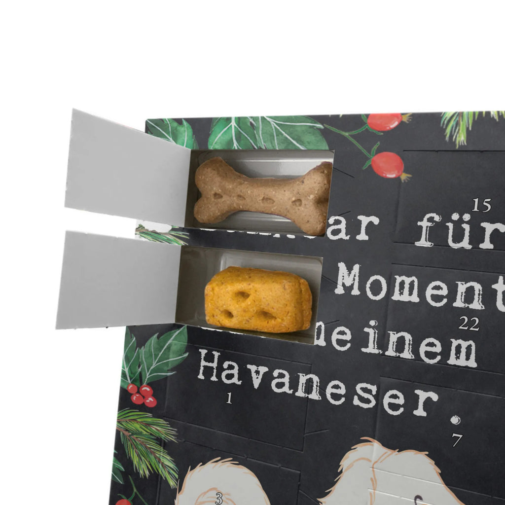 Personalisierter Hunde Foto Adventskalender Havaneser Moment Personalisierter Hunde Foto Adventskalender, Geschenk, Schenken, Hund, Hunderasse, Rassehund, Hundebesitzer, Tierfreund, Welpe, Bichón Habanero, Havaneser, Bichon Havanais, Havi