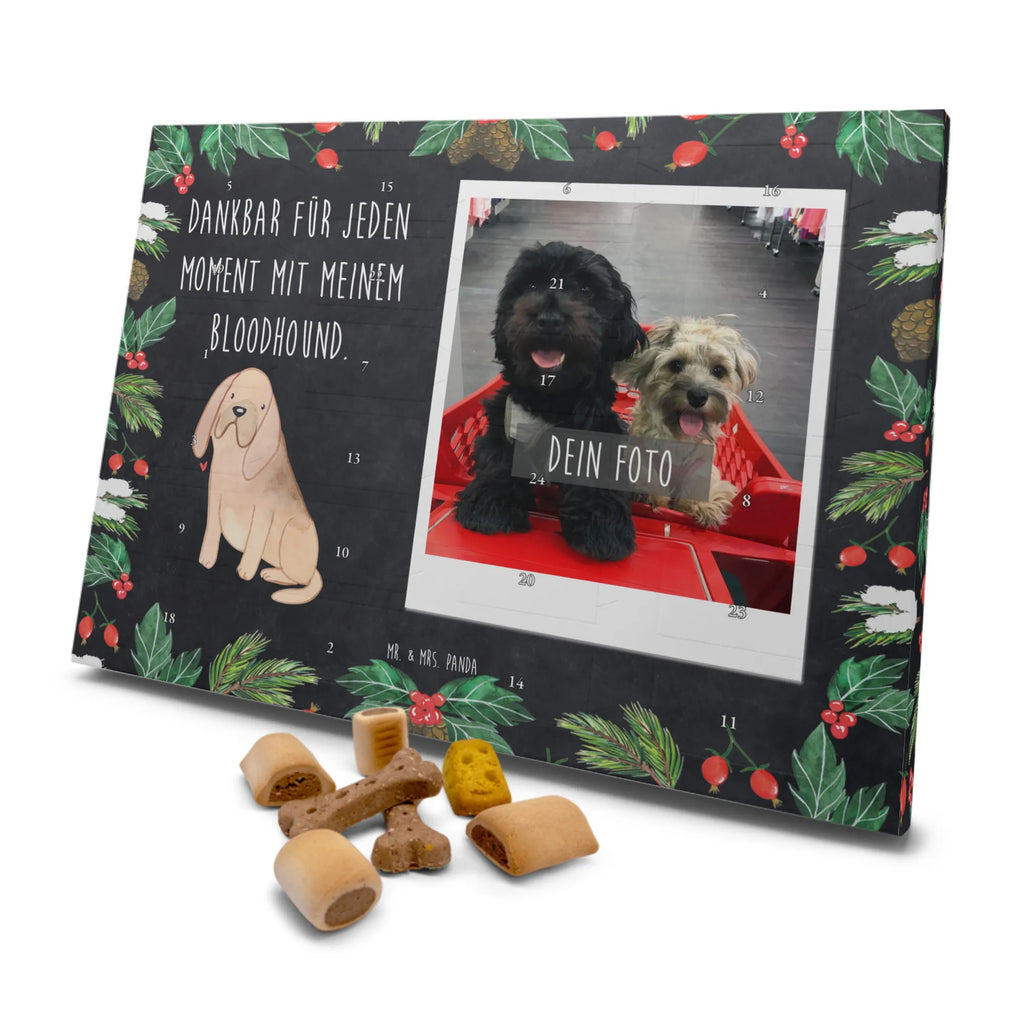 Personalisierter Hunde Foto Adventskalender Bloodhound Moment Personalisierter Hunde Foto Adventskalender, Geschenk, Schenken, Hund, Hunderasse, Rassehund, Hundebesitzer, Tierfreund, Welpe, Bloodhound, Bluthund, Chien De Saint Hubert, St. Hubertushund