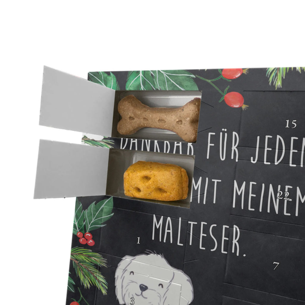 Personalisierter Hunde Foto Adventskalender Malteser Moment Personalisierter Hunde Foto Adventskalender, Geschenk, Schenken, Hund, Hunderasse, Rassehund, Hundebesitzer, Tierfreund, Welpe, Malteser