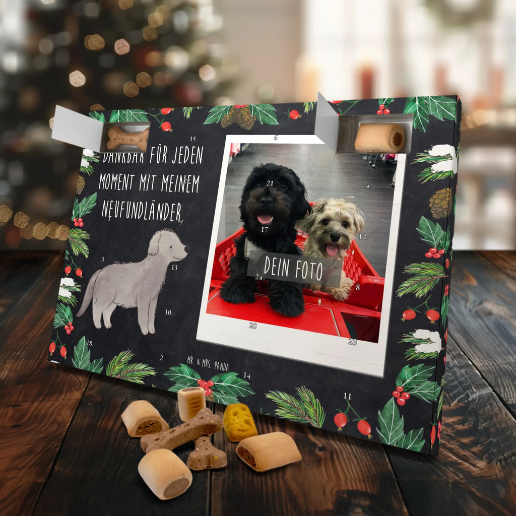 Personalisierter Hunde Foto Adventskalender Neufundländer Moment Personalisierter Hunde Foto Adventskalender, Geschenk, Schenken, Hund, Hunderasse, Rassehund, Hundebesitzer, Tierfreund, Welpe, Neufundländer, Newfoundland