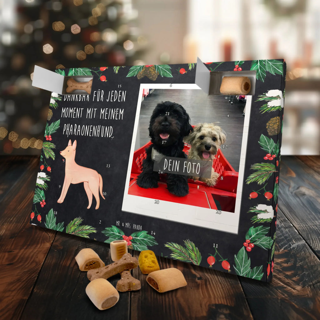 Personalisierter Hunde Foto Adventskalender Pharaonenhund Moment Personalisierter Hunde Foto Adventskalender, Geschenk, Schenken, Hund, Hunderasse, Rassehund, Hundebesitzer, Tierfreund, Welpe, Pharaoh Hound, Pharaonenhund, Kelb Tal-Fenek