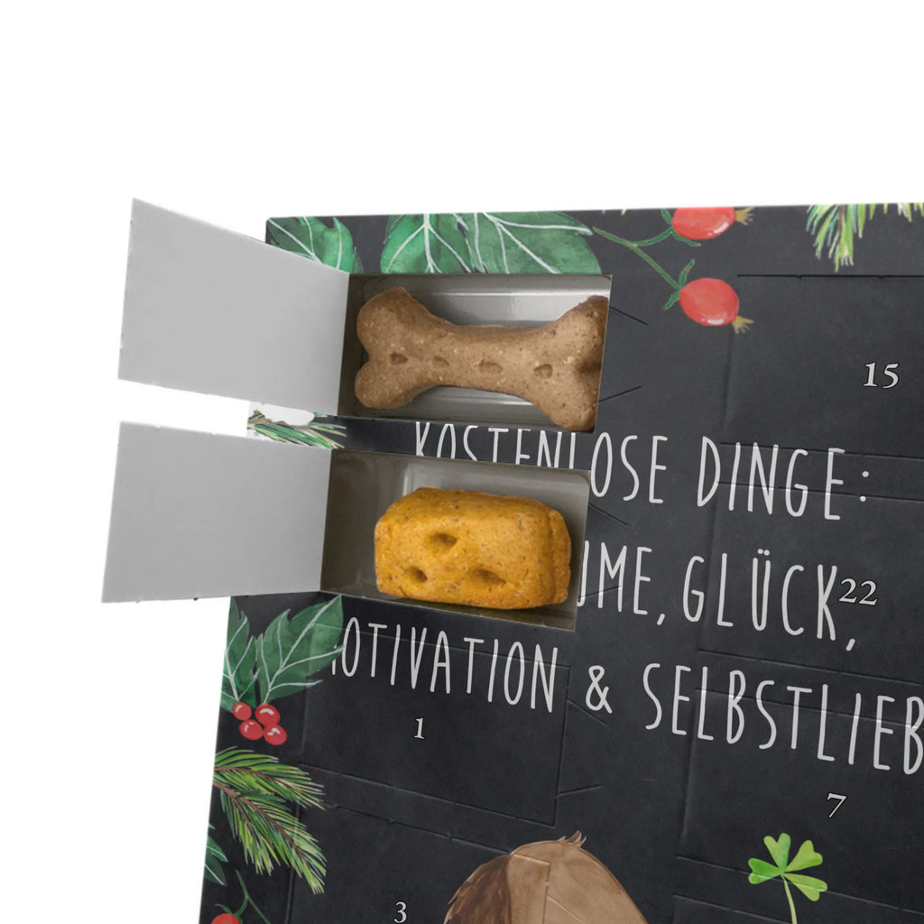 Personalisierter Hunde Foto Adventskalender Hund Kleeblatt Personalisierter Hunde Foto Adventskalender, Sprüche, Hund, Hunderasse, Hundebesitzer, Hundemotiv, Haustier, Tierliebhaber, Neuanfang, Kleeblatt, Glücksbringer, Geschenk, Motivation, Glück, Achtsamkeit, Selbstliebe, Tagträume