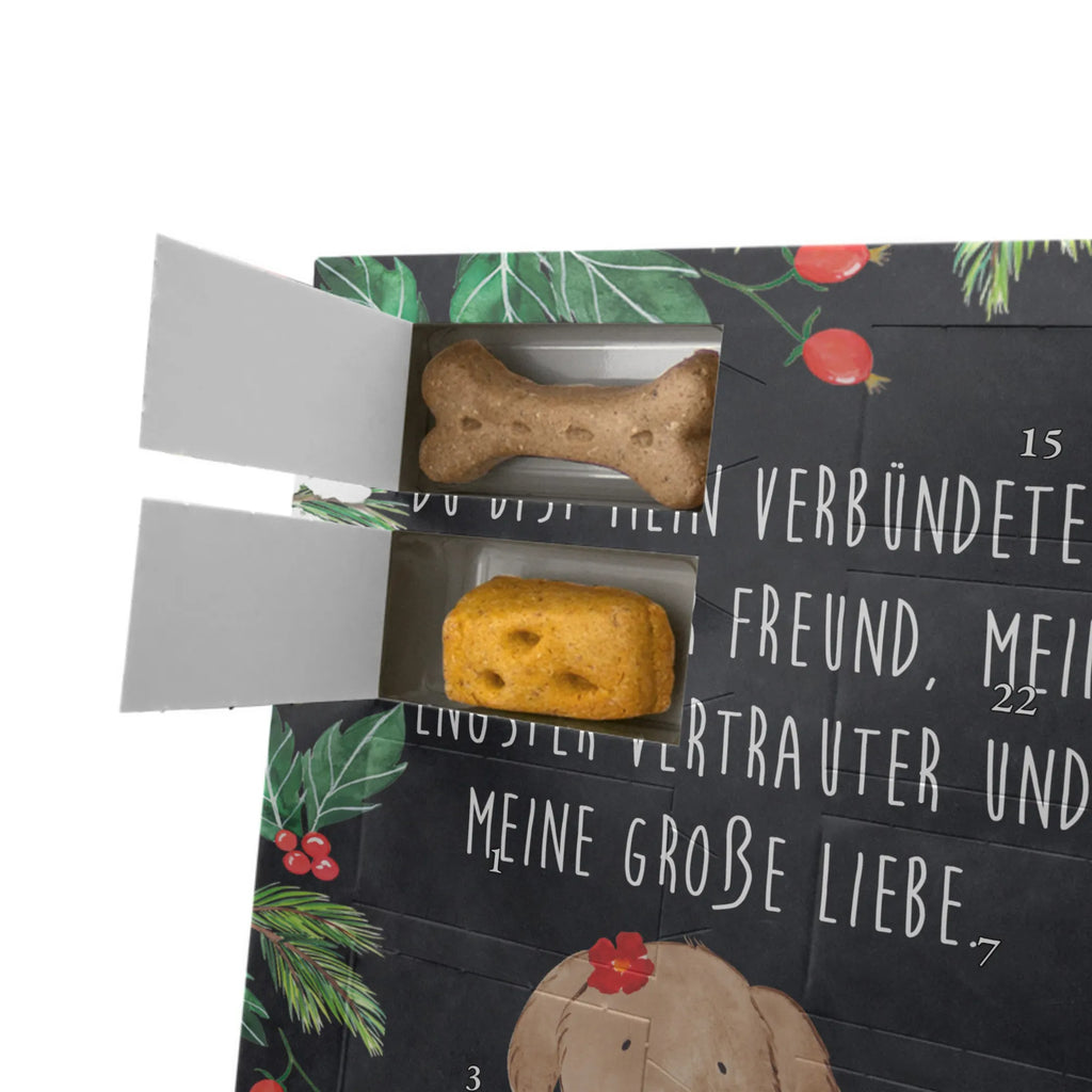 Personalisierter Hunde Foto Adventskalender Hund Dame Personalisierter Hunde Foto Adventskalender, Sprüche, Hund, Hunderasse, Hundebesitzer, Hundemotiv, Haustier, Tierliebhaber, Hundeliebe, Liebe, Hundeglück, Frauchen, Hunde