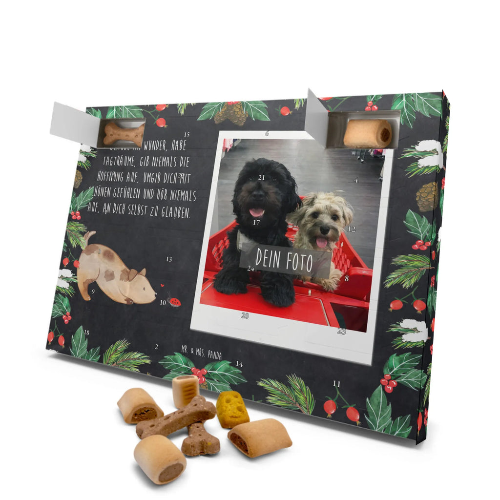 Personalisierter Hunde Foto Adventskalender Hund Marienkäfer Personalisierter Hunde Foto Adventskalender, Sprüche, Hund, Hunderasse, Hundebesitzer, Hundemotiv, Haustier, Tierliebhaber, Mischlinghund, Marienkäfer, Hunde, Hundespruch, Mischling