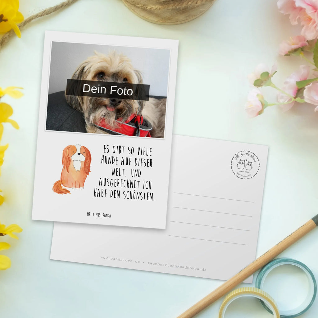 Personalized Photo Postcard Dog Cavalier King Charles Spaniel Personalisierte Foto Postkarte, Hund, Hundemotiv, Haustier, Hunderasse, Tierliebhaber, Hundebesitzer, Sprüche, Spruch, Cavalier King Charles Spaniel, schönster Hund, Cockerspaniel, Spaniel