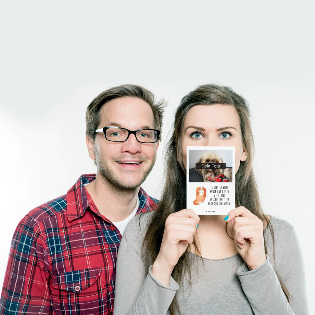 Personalized Photo Postcard Dog Cavalier King Charles Spaniel Personalisierte Foto Postkarte, Hund, Hundemotiv, Haustier, Hunderasse, Tierliebhaber, Hundebesitzer, Sprüche, Spruch, Cavalier King Charles Spaniel, schönster Hund, Cockerspaniel, Spaniel