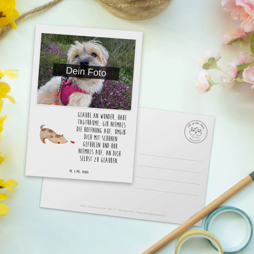 Personalized Photo Postcard Dog ladybug Personalisierte Foto Postkarte, Hund, Hundemotiv, Haustier, Hunderasse, Tierliebhaber, Hundebesitzer, Sprüche, Hundespruch, Marienkäfer, Mischling, Hunde, Mischlinghund