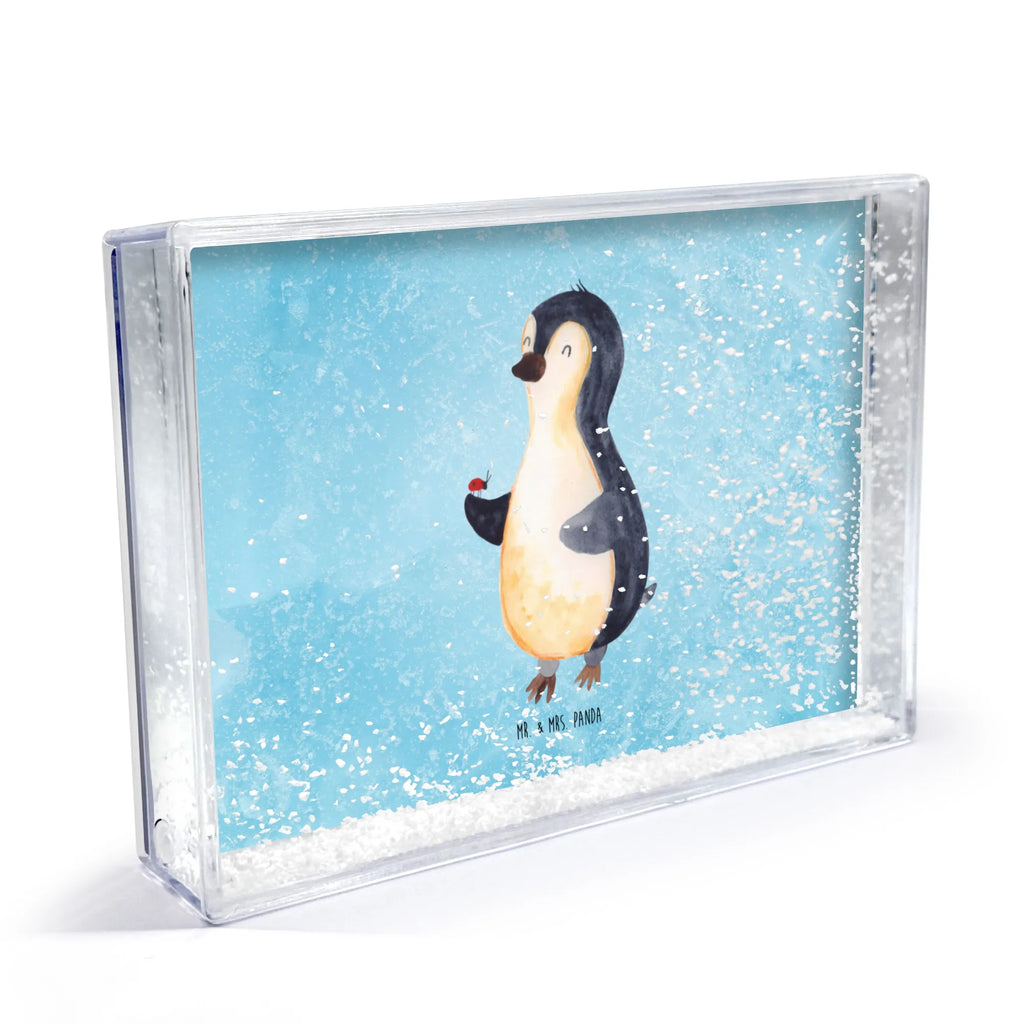 shake frame Penguin ladybug Pinguin, Glück, Pinguine, Liebe, Marienkäfer, Freude, Wunder, Lebensfreude