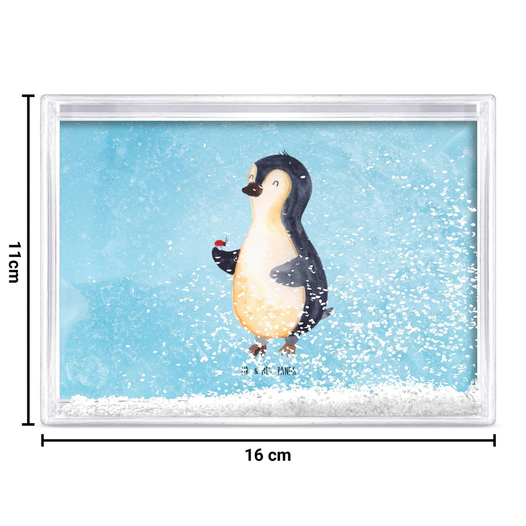shake frame Penguin ladybug Pinguin, Glück, Pinguine, Liebe, Marienkäfer, Freude, Wunder, Lebensfreude