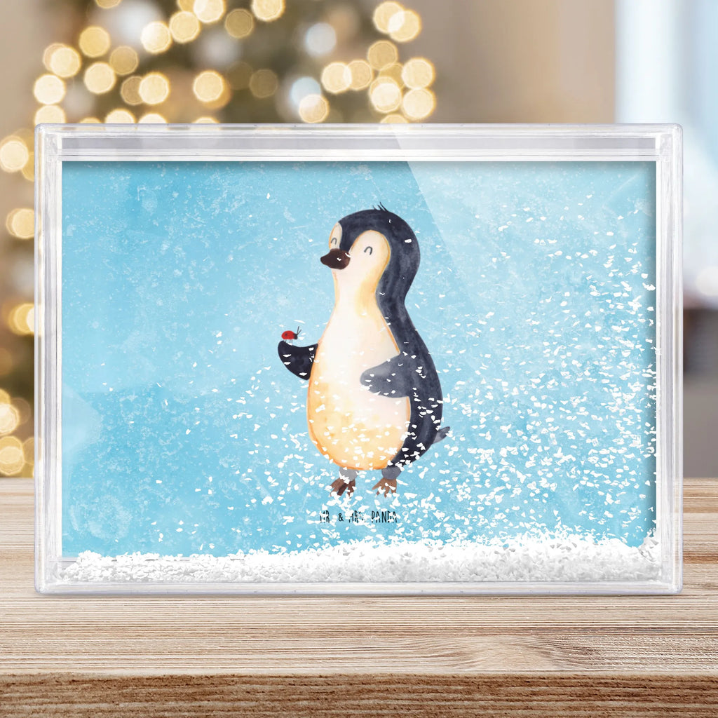 shake frame Penguin ladybug Pinguin, Glück, Pinguine, Liebe, Marienkäfer, Freude, Wunder, Lebensfreude