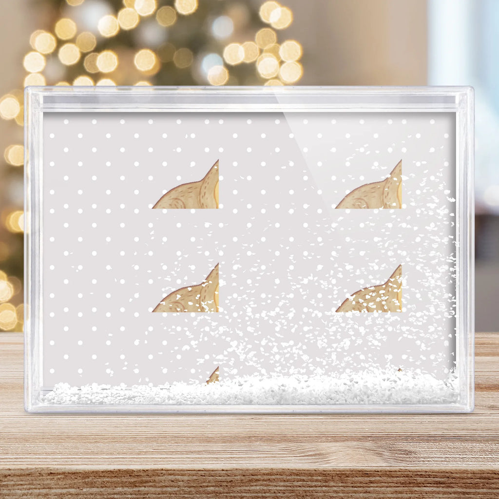 shake frame otter holding hands Otter, Fischotter, Seeotter, Otter Seeotter See Otter