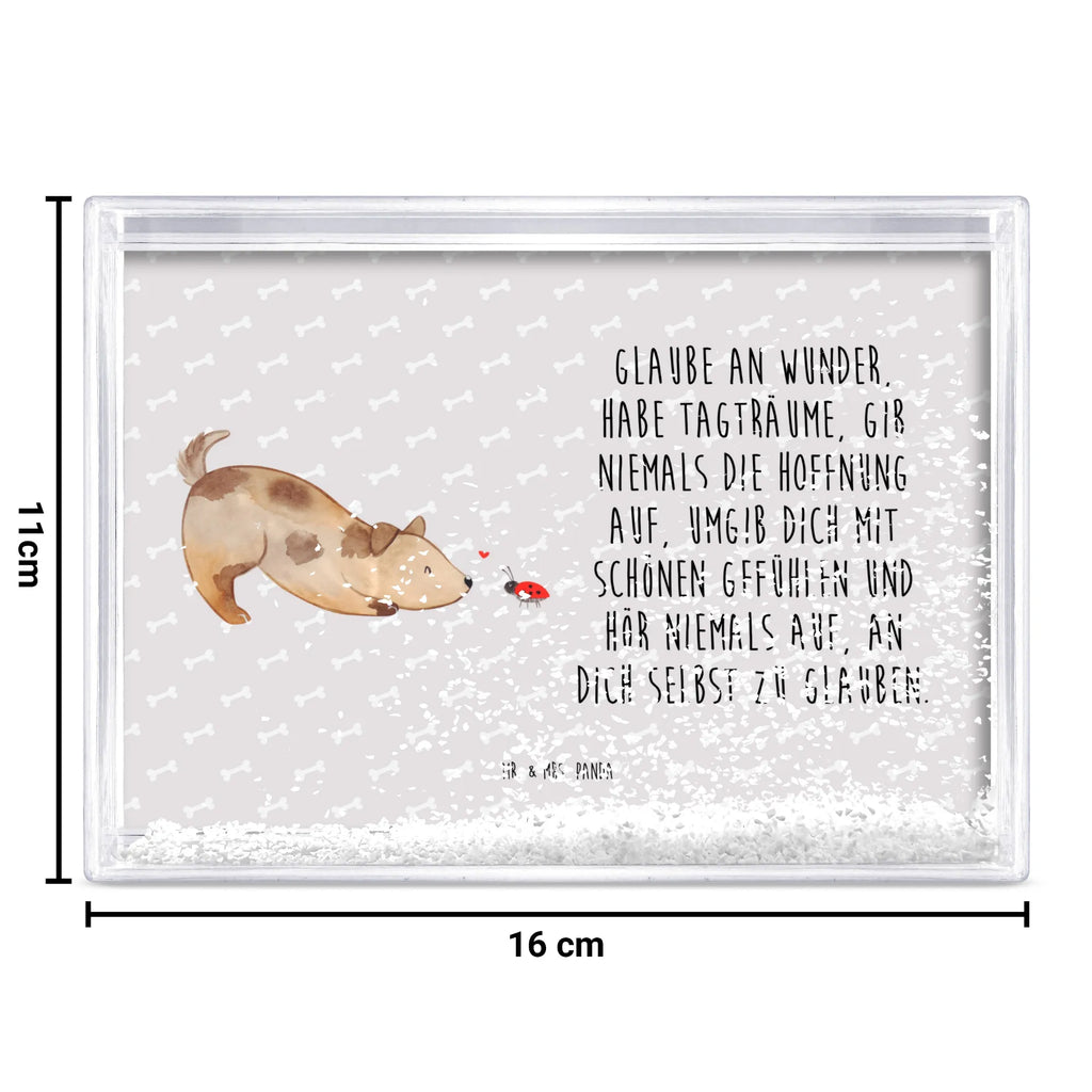 shake frame Dog ladybug Hund, Hundemotiv, Haustier, Hunderasse, Tierliebhaber, Hundebesitzer, Sprüche, Hunde, Hundespruch, Marienkäfer, Mischling, Mischlinghund