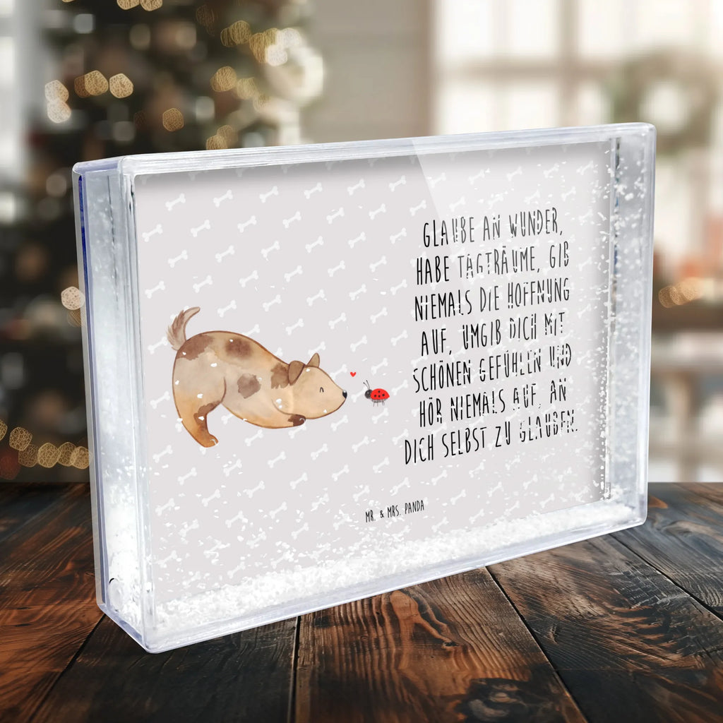 shake frame Dog ladybug Hund, Hundemotiv, Haustier, Hunderasse, Tierliebhaber, Hundebesitzer, Sprüche, Hunde, Hundespruch, Marienkäfer, Mischling, Mischlinghund