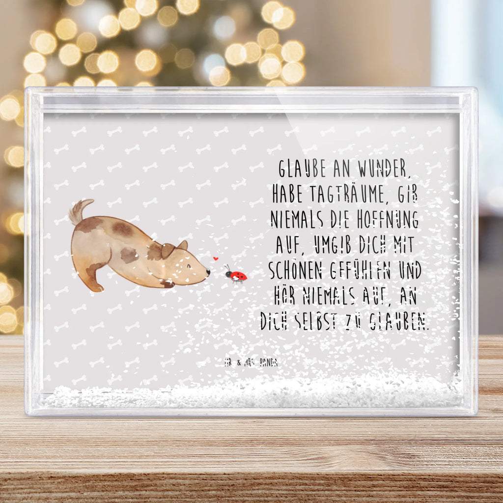 shake frame Dog ladybug Hund, Hundemotiv, Haustier, Hunderasse, Tierliebhaber, Hundebesitzer, Sprüche, Hunde, Hundespruch, Marienkäfer, Mischling, Mischlinghund