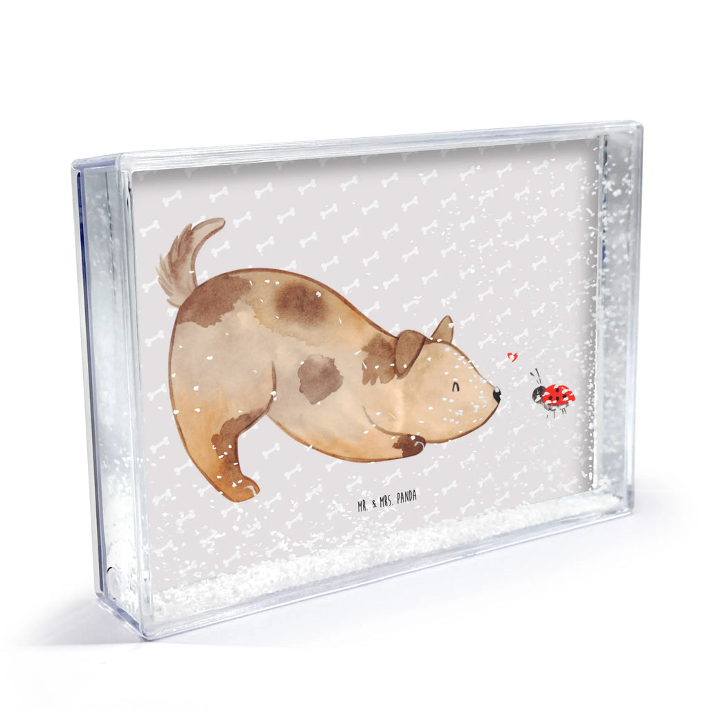 shake frame Dog ladybug Hund, Hundemotiv, Haustier, Hunderasse, Tierliebhaber, Hundebesitzer, Sprüche, Hunde, Hundespruch, Marienkäfer, Mischling, Mischlinghund