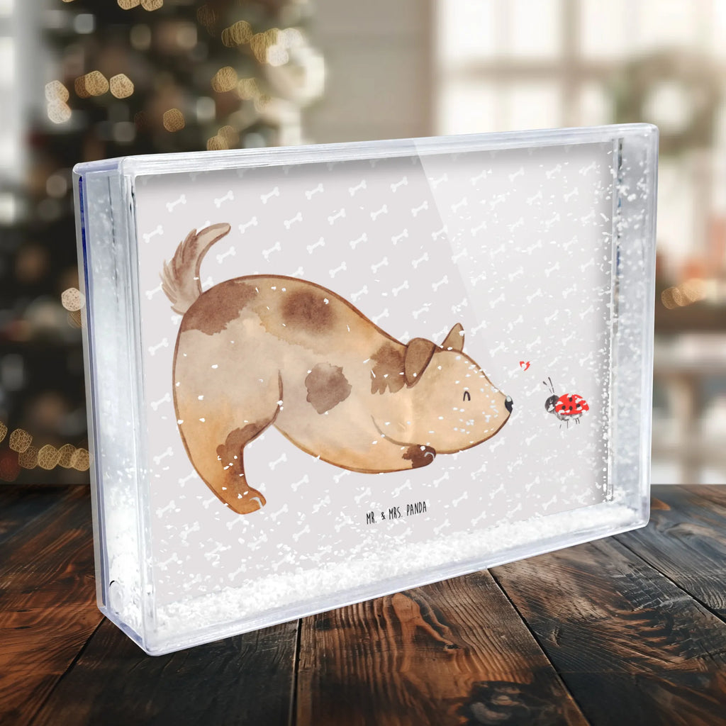 shake frame Dog ladybug Hund, Hundemotiv, Haustier, Hunderasse, Tierliebhaber, Hundebesitzer, Sprüche, Hunde, Hundespruch, Marienkäfer, Mischling, Mischlinghund