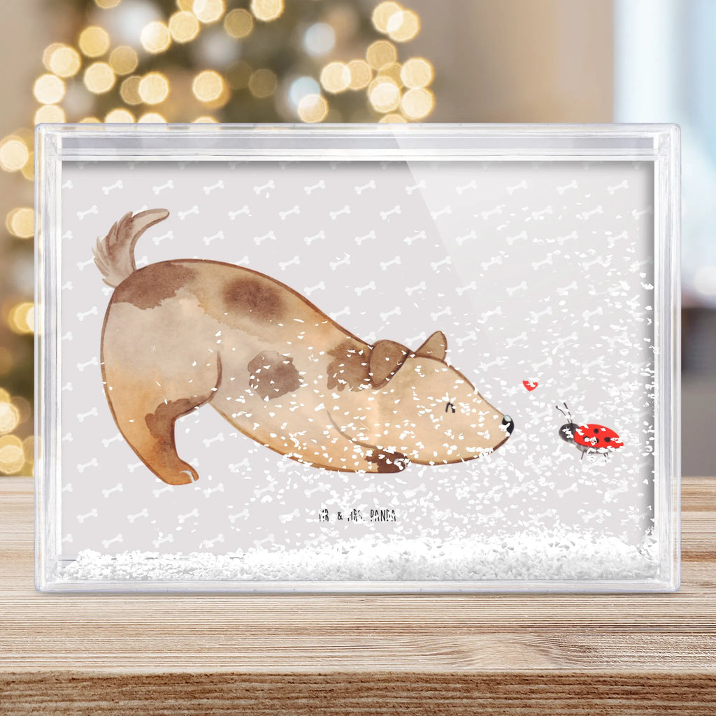 shake frame Dog ladybug Hund, Hundemotiv, Haustier, Hunderasse, Tierliebhaber, Hundebesitzer, Sprüche, Hunde, Hundespruch, Marienkäfer, Mischling, Mischlinghund