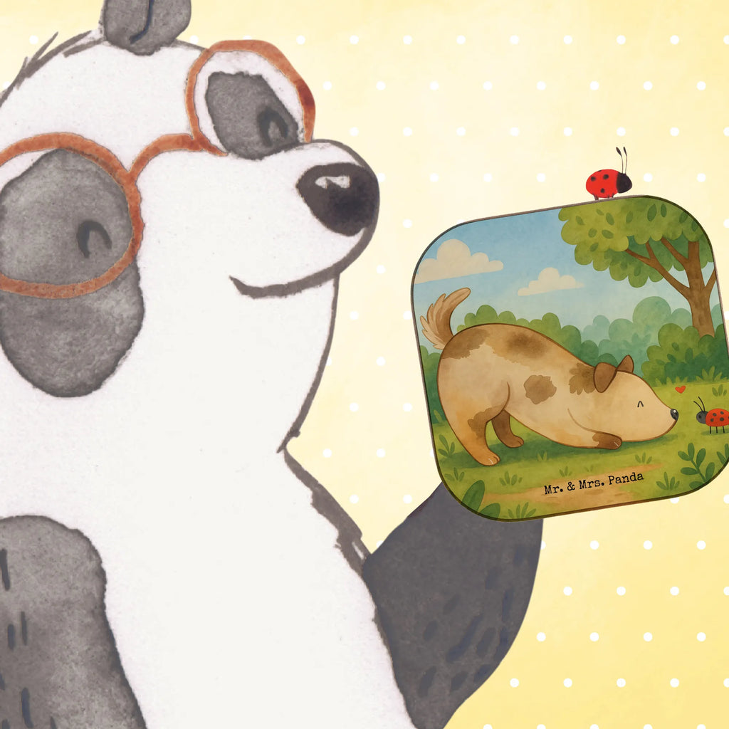 Untersetzer Hund Marienkäfer Design Untersetzer für Gläser, Untersetzer Holz, Untersetzer Gläser, Untersetzer aus Holz, Tassen Untersetzer, Glasuntersetzer, Getränkeuntersetzer, Bierdeckel, Untersetzer Design, Holzuntersetzer, Korkuntersetzer, Untersetzer, Hund, Hundemotiv, Haustier, Hunderasse, Tierliebhaber, Hundebesitzer, Sprüche, Hundespruch, Hunde, Mischlinghund, Mischling, Marienkäfer