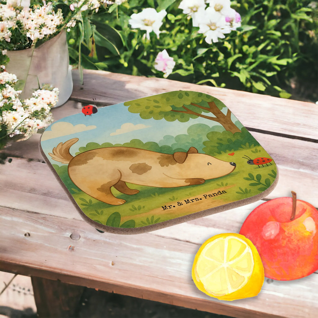 Untersetzer Hund Marienkäfer Design Untersetzer für Gläser, Untersetzer Holz, Untersetzer Gläser, Untersetzer aus Holz, Tassen Untersetzer, Glasuntersetzer, Getränkeuntersetzer, Bierdeckel, Untersetzer Design, Holzuntersetzer, Korkuntersetzer, Untersetzer, Hund, Hundemotiv, Haustier, Hunderasse, Tierliebhaber, Hundebesitzer, Sprüche, Hundespruch, Hunde, Mischlinghund, Mischling, Marienkäfer