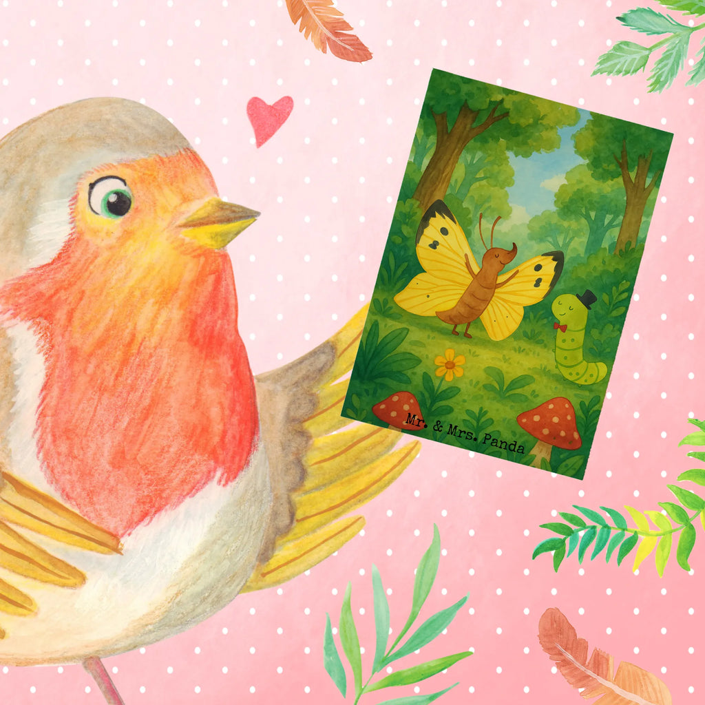 Grußkarte Raupe Schmetterling Design Grußkarte, Klappkarte, Einladungskarte, Glückwunschkarte, Hochzeitskarte, Geburtstagskarte, Karte, Ansichtskarten, Tiermotive, Gute Laune, lustige Sprüche, Tiere, Raupe, Schmetterling, Zitronenfalter, Entwicklung, Erwachsen werden, Kokon, Hut, Hütchen, Schönheit, Aufwachsen