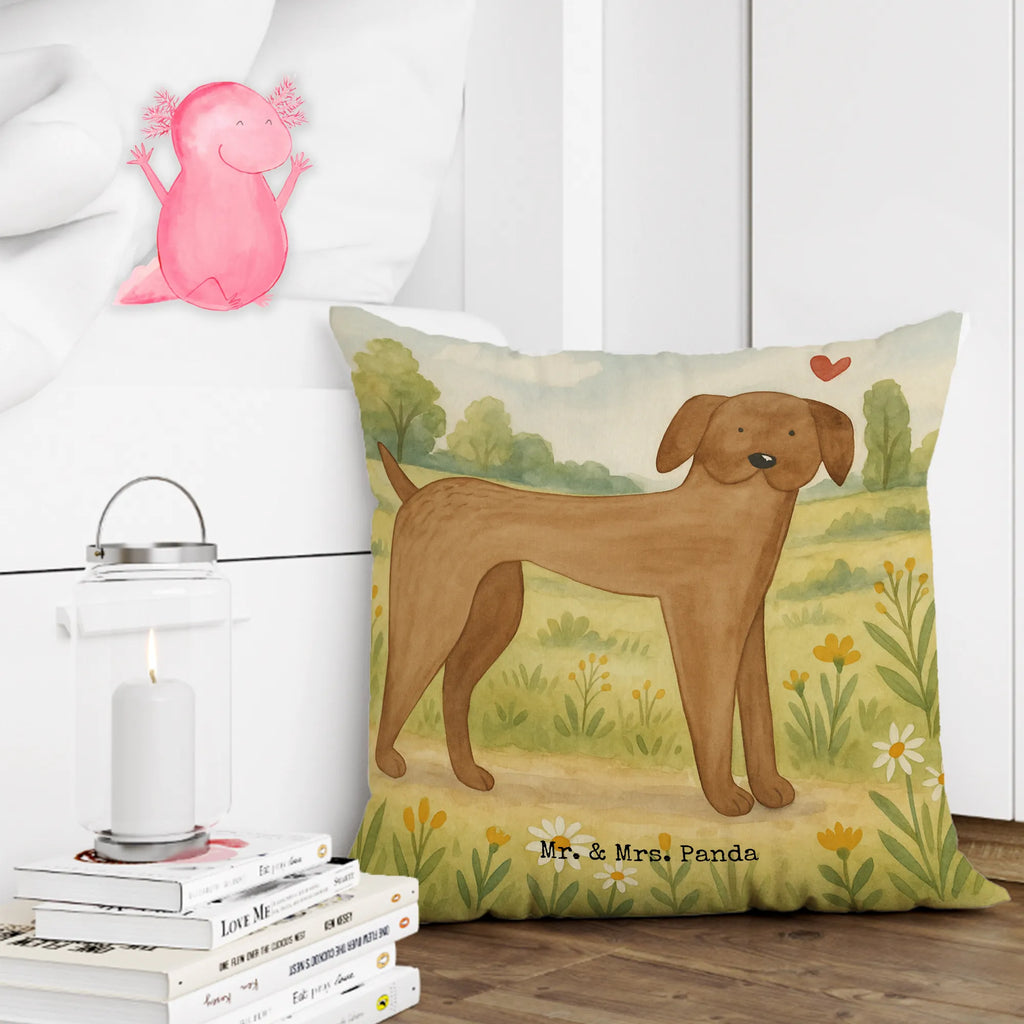 40x40 Kissen Hund Dogge Design Sofakissen, Kissenbezüge, Couchkissen, Kopfkissen 40x40, Kissen, Kissen 40x40, Dekokissen Sofa, Zierkissen, Dekokissen 40x40, Kissenbezug 40x40, Motivkissen, Dekokissen, Kopfkissen, Sofakissen 40x40, sofakissen, sitzkissen, Kissenhülle, Kissenhülle 40x40, Kissen 40x40 Waschbar, Hund, Hundemotiv, Haustier, Hunderasse, Tierliebhaber, Hundebesitzer, Sprüche, Dogge, Great Dane, Hunde, Deutsche Dogge