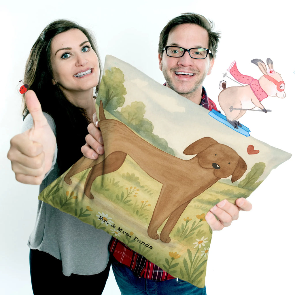 40x40 Kissen Hund Dogge Design Sofakissen, Kissenbezüge, Couchkissen, Kopfkissen 40x40, Kissen, Kissen 40x40, Dekokissen Sofa, Zierkissen, Dekokissen 40x40, Kissenbezug 40x40, Motivkissen, Dekokissen, Kopfkissen, Sofakissen 40x40, sofakissen, sitzkissen, Kissenhülle, Kissenhülle 40x40, Kissen 40x40 Waschbar, Hund, Hundemotiv, Haustier, Hunderasse, Tierliebhaber, Hundebesitzer, Sprüche, Dogge, Great Dane, Hunde, Deutsche Dogge