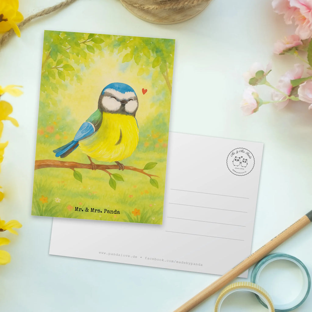 Postkarte Vogel Blaumeise Design Postkarte, Karte, Geschenkkarte, Grußkarte, Einladung, Ansichtskarte, Geburtstagskarte, Einladungskarte, Dankeskarte, Ansichtskarten, Einladung Geburtstag, Einladungskarten Geburtstag, Ostern, Osterhase, Ostergeschenke, Osternest, Osterdeko, Geschenke zu Ostern, Ostern Geschenk, Ostergeschenke Kinder, Ostern Kinder, Ostergrüße, Blaumeise, Vogel, liebe Grüße, Frühling, Frühlingsgefühle, Osterzeit