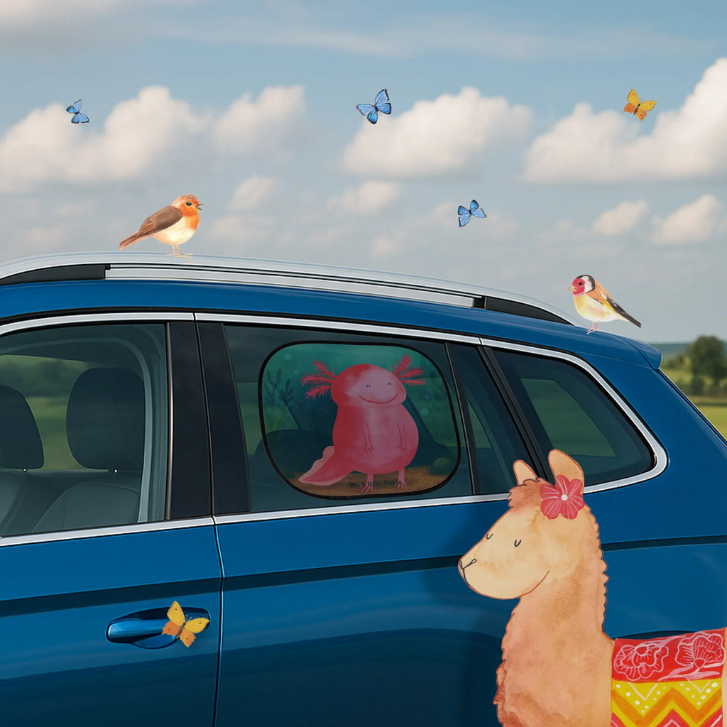 Auto Fensterschutz Axolotl Glücklich Design Auto Sonnenschutz, Sonnenschutz Auto, Auto Sonnenblende, Sonnenblende Auto, Sonnenschutz Baby Auto, Sonnenschutz Kinder Auto, Sonnenschutz Auto Baby, Sonnenschutz Auto Kinder, Sonnenschutz fürs Auto, Sonnenschutz für Auto, Autosonnenschutz, Sonnenschutz Autoscheibe, Sonnenschutz Auto Seitenscheibe, Sonnenschutz für Autoscheiben, Autoscheiben Sonnenschutz, Sonnenschutzfolie Auto, Auto Sonnenschutzfolie, Sonnenschutz Auto Fenster, Sonnenschutz Auto Heckscheibe, Sonnenschutz Auto Frontscheibe, Sonnenschutz Auto Saugnapf, Sonnenschutz Auto selbsthaftend, Auto Sonnenschutz klappbar, Auto Sonnenschutz universal, Auto Sonnenschutz UV Schutz, Auto Sonnenschutz mit Motiv, Sonnenschutz Auto Tiere, Sonnenschutz Auto mit Fensteröffnung, Sonnenschutz Auto ohne Saugnapf, Baby Sonnenschutz Auto Fenster, Kinder Sonnenschutz Auto Fenster, Sonnenschutz Auto ohne Kleben, Auto Sonnenschutz Reise, Auto Sichtschutz, Auto Verdunkelung, Axolotl, Molch, Axolot, Schwanzlurch, Lurch, Lurche, Motivation, gute Laune