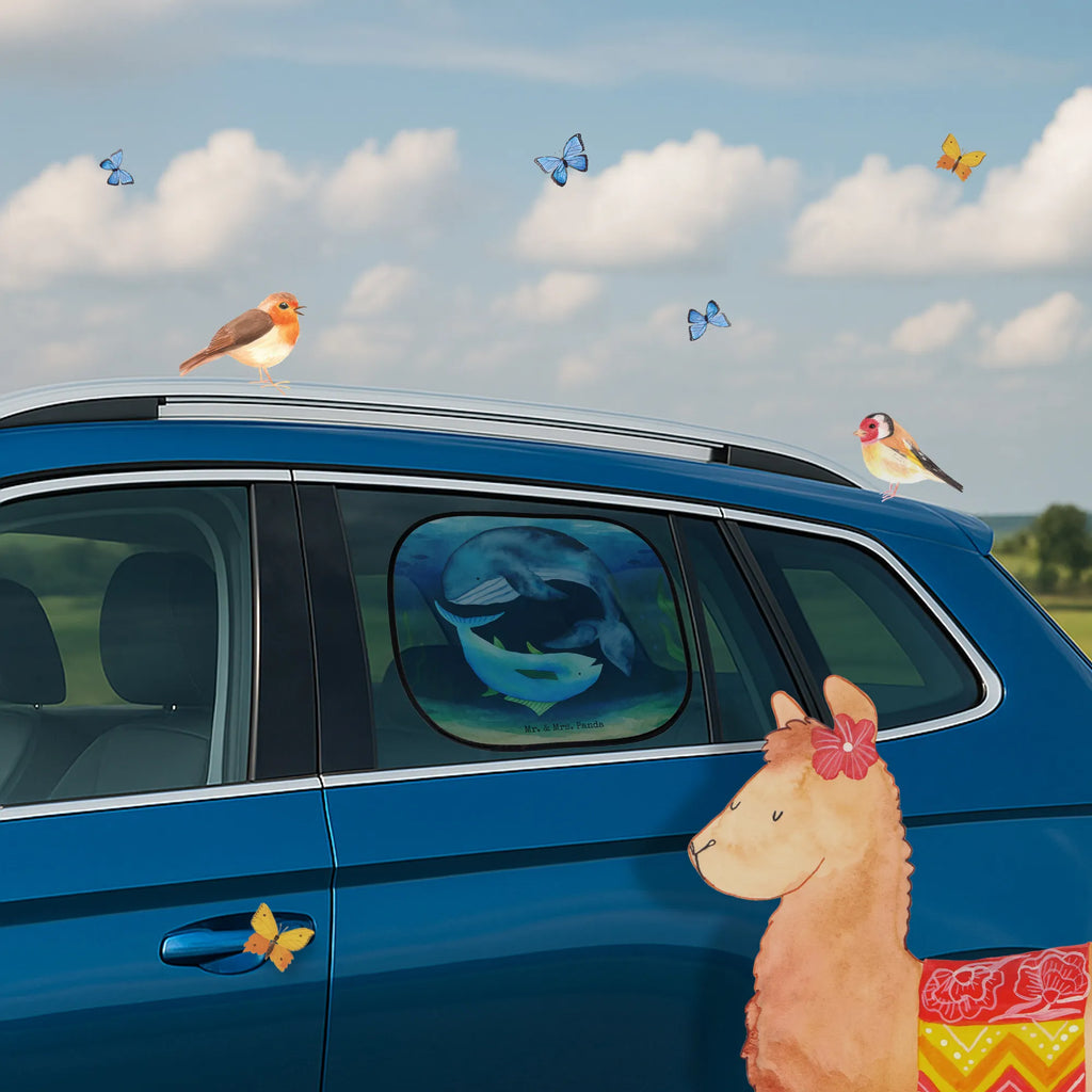 Sonnenschutz Auto Walfisch Thunfisch Design Auto Sonnenschutz, Sonnenschutz Auto, Auto Sonnenblende, Sonnenblende Auto, Sonnenschutz Baby Auto, Sonnenschutz Kinder Auto, Sonnenschutz Auto Baby, Sonnenschutz Auto Kinder, Sonnenschutz fürs Auto, Sonnenschutz für Auto, Autosonnenschutz, Sonnenschutz Autoscheibe, Sonnenschutz Auto Seitenscheibe, Sonnenschutz für Autoscheiben, Autoscheiben Sonnenschutz, Sonnenschutzfolie Auto, Auto Sonnenschutzfolie, Sonnenschutz Auto Fenster, Sonnenschutz Auto Heckscheibe, Sonnenschutz Auto Frontscheibe, Sonnenschutz Auto Saugnapf, Sonnenschutz Auto selbsthaftend, Auto Sonnenschutz klappbar, Auto Sonnenschutz universal, Auto Sonnenschutz UV Schutz, Auto Sonnenschutz mit Motiv, Sonnenschutz Auto Tiere, Sonnenschutz Auto mit Fensteröffnung, Sonnenschutz Auto ohne Saugnapf, Baby Sonnenschutz Auto Fenster, Kinder Sonnenschutz Auto Fenster, Sonnenschutz Auto ohne Kleben, Auto Sonnenschutz Reise, Auto Sichtschutz, Auto Verdunkelung, Tiermotive, Gute Laune, lustige Sprüche, Tiere, Wal, Wahl, Tunfisch, Wortwitz lustig, Spruch lustig, Flachwitz, Witz, Spruch des Tages, Flachwitz Geschenk