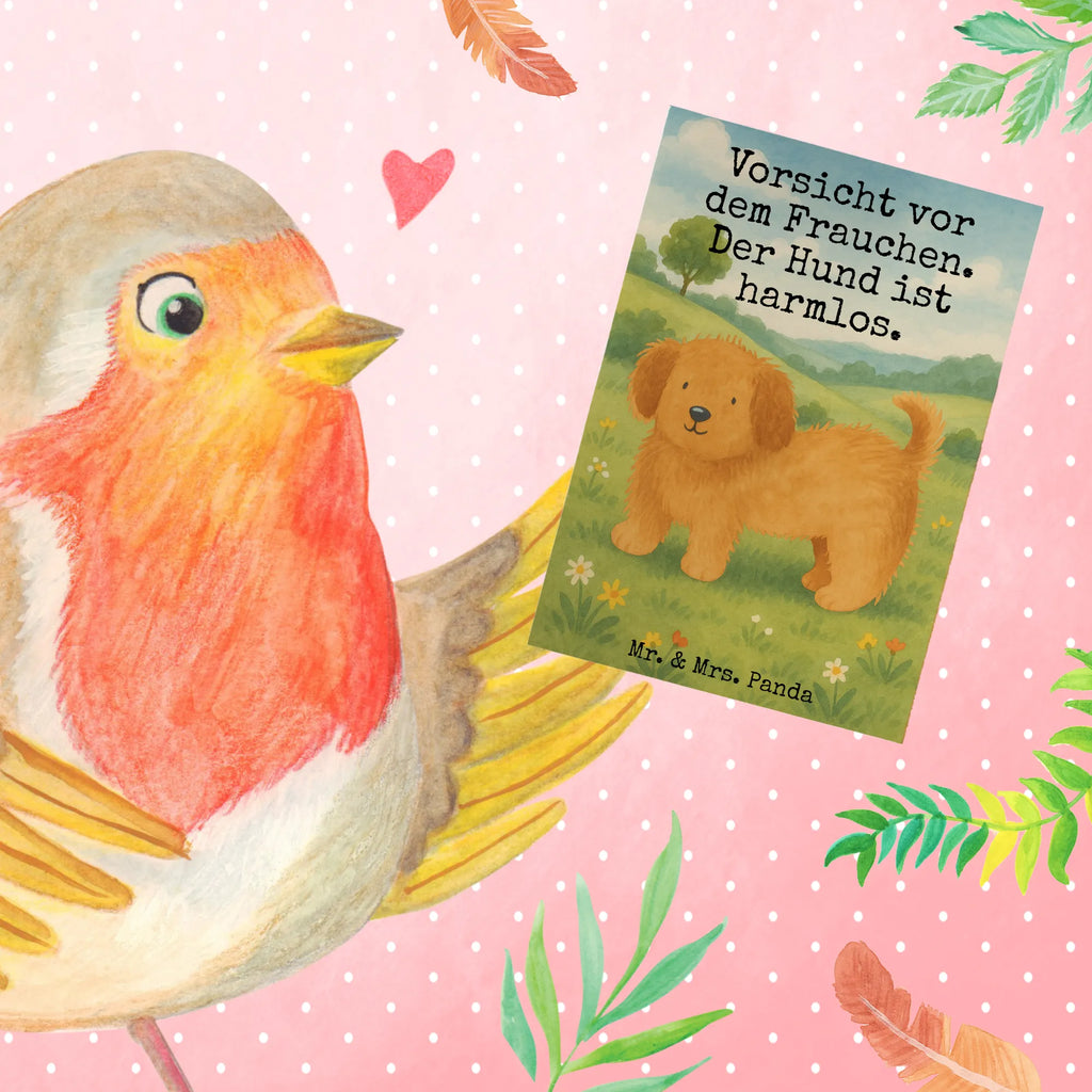 Grußkarte Hund Flauschig Design Grußkarte, Klappkarte, Einladungskarte, Glückwunschkarte, Hochzeitskarte, Geburtstagskarte, Karte, Ansichtskarten, Hund, Hundemotiv, Haustier, Hunderasse, Tierliebhaber, Hundebesitzer, Sprüche, Hunde, Frauchen, Hundemama, Hundeliebe