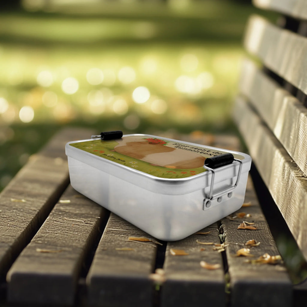 Personalized Metal Lunch Box Guinea pig wisdom Design Brotbox mit Namen, Brotdose mit Namen, Brotbox, Kindergarten, Geschenk mit Namen, Brotdose, Schule, Uni, Tiermotive, Gute Laune, lustige Sprüche, Tiere, Wunder, Realität, Meerie, Spruch, Meeries, Wunderland, Blumenkind, Meerschweinchen, Weisheit, Motivation