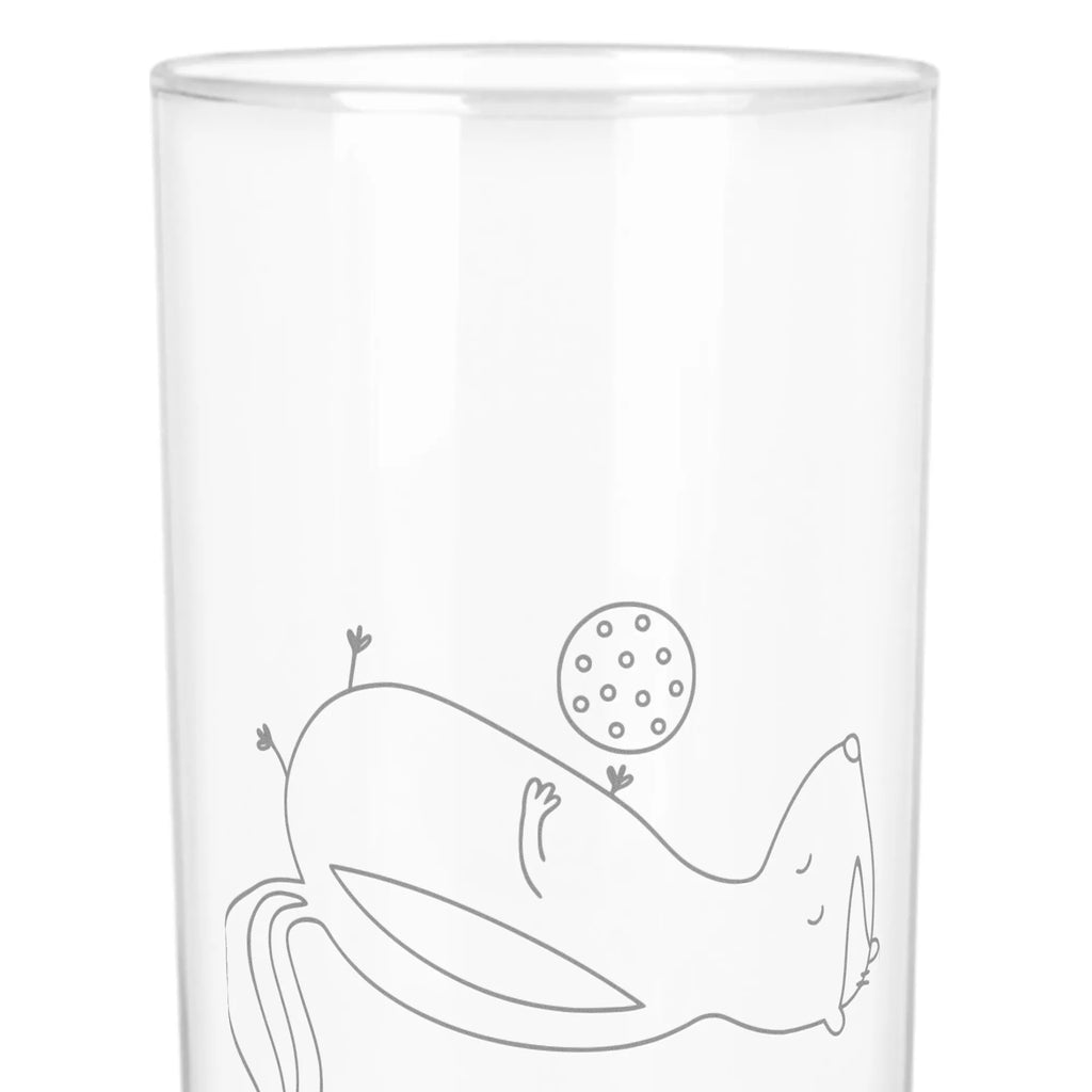 Water Glass skunk ball Skunk, wisdom, stinker, skunk, stinky, predator, playful, wild animal